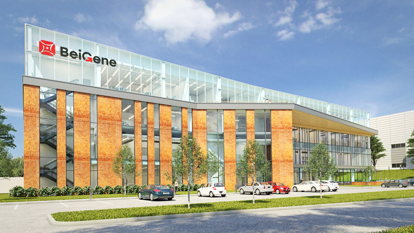 Beigene concept